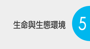 系統錯誤