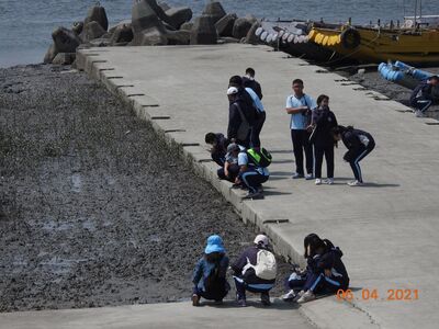 海岸生態觀察