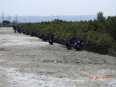 海岸生態觀察2