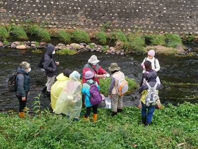 鎮平溪支流水質檢測及蝦籠調查